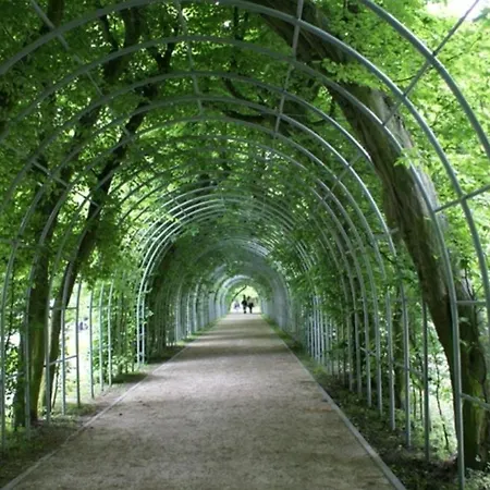 Polanki كولوبرزيغ