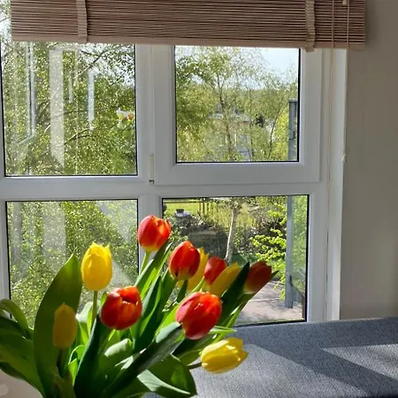 Polanki Апартаменты *